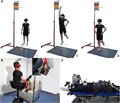 Deficits in proprioception and strength may contribute to the impaired postural stability among individuals with functional ankle instability